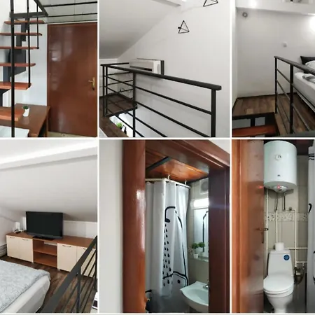 - Zen * Vrnjačka Banja