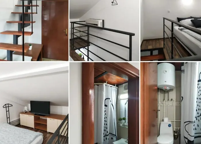 - Zen * Vrnjačka Banja